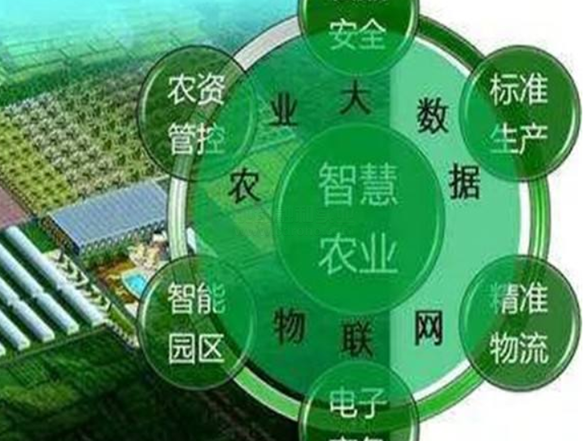 傳統農業開啟智慧農業之門效果圖